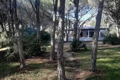 Image de Villa Among the Pines - Near the Sea, Matta and Peru, Budoni - Sassari
