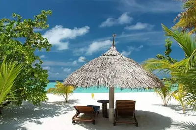 Image de Relax, Refresh, Recharge! Orlando-Deluxe 2 dbl bed