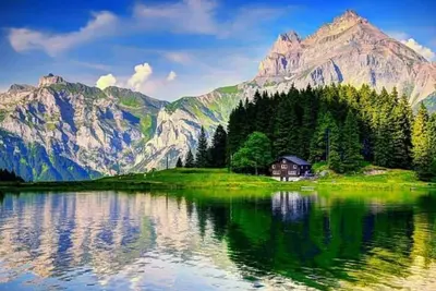 Image de Beautiful Orlando! 2Queen bed. Rest, Relax, fun!