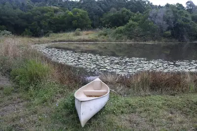 Image de Tiny house on sustainable community
