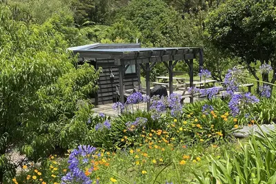 Image de Tiny Studio - Near New
