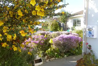 Image de Coastal, Beach, Nature, 2 Econo Rooms, 2 Private Baths. Sleeps, 4. Namaste