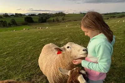 Image de Jilly Park Farm Experience - Discover Rustic Charm and Tranquil Farm Life in West Gippsland Inc Breakfast