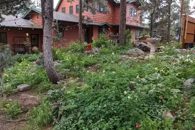 Image de Private Mountain Tranquility for large families near Rocky Mountain National Pk!