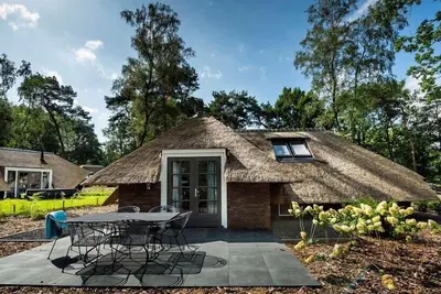 Image de Sprielderbosch 21 luxury holiday villa in forest near Putten