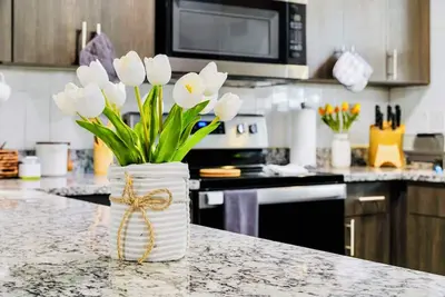 Image de Sunlit Tampa Home: Family-Friendly Retreat