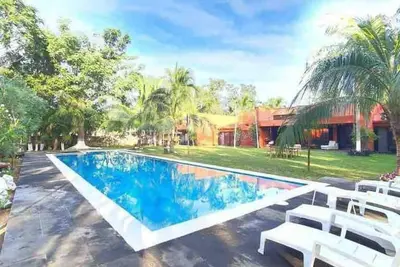 Image de Ceiba Maya