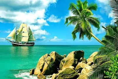 Image de The Best of San Diego! Room to Enjoy, Relax and Recharge! !