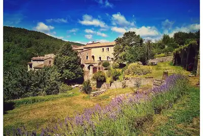 Image de \"Hélianthy\" Gîte 10 pers. with swimming pool in a green setting in southern Ardèche