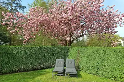 Image de Bi Sterni, Germany