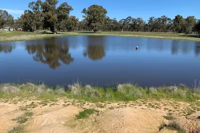 Image de Mariam Farm stay next to Hume Highway