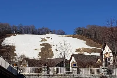 Image de Winter Ski Holiday at Boyne Mountain - Cozy Luxury Villa