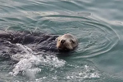 Image de Luxurious 3 bedroom home with resort amenities