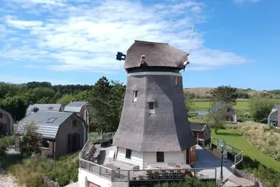 Image de Luxurious holiday mill in a dune park, located in close vicinity of the beach