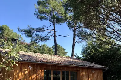 Jolie maison en bois avec vue sur la forêt
