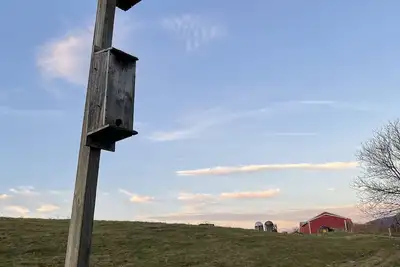 Image de Life at the Dairy Farm