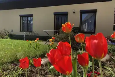 Image de Ferienbungalow Familie Pohl - Holiday bungalow, shower, 1 bedroom