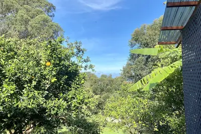 Image de Quiet 1-bd cottage retreat with sleeping loft & work space
