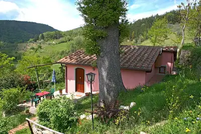 Image de Vacation home with swimming pool