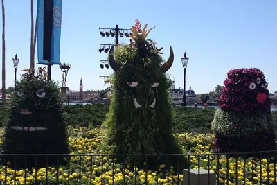 Image de Saratoga Springs Walt Disney World Resort