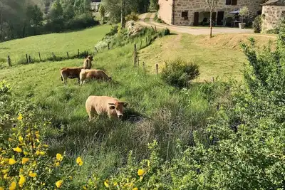 Image de Maison de caractère aux portes de l'Aubrac