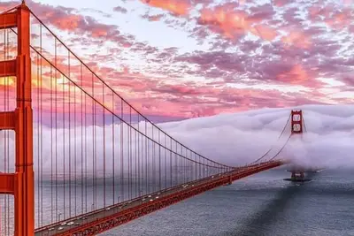 Image de Orlando! ! The One and Only! Fun for one, Fun for All!