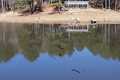 Image de Newly Built Cabin with a 2. 5 acre Lake on 120 Acres of Private Land