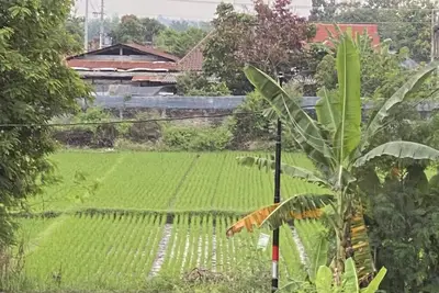 Kingsize Bedroom Garden View In Ricefield