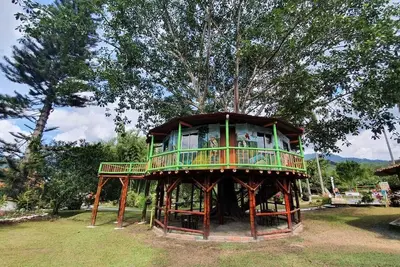 Cabane dans les arbres Finca La Floresta Verde