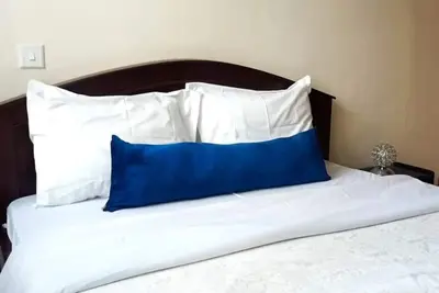Luxe & Spacious Furnished Unit I Milimani Drive B