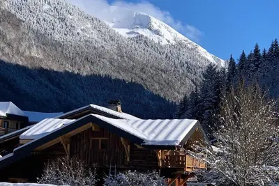 Image de Le Petit Chalet De Montriond