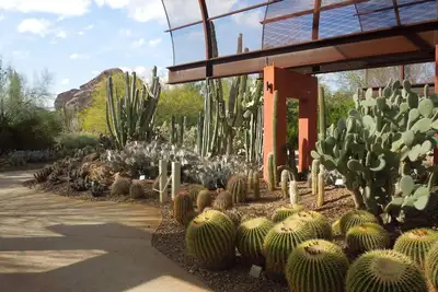 Image de Explore the Wild West! Courtyard View, 5 Pools, Pets Allowed, Free Parking!