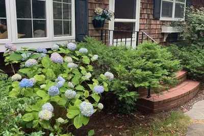 Image de Serene Seclusion in Brewster