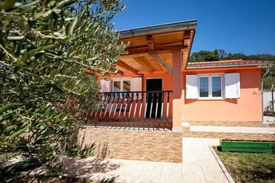 Image de Maison Olive tree (60002-K1) - Mundanije