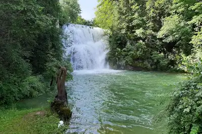 Image de Le Grand Tetras dans propriété de charme au coeur du site de la source-Bleue