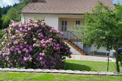 Image de Envie de découvrir les Vosges ? Gite 4 pers, parking fermé. 5 mn des commerces,