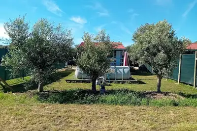 Image de Chalet 4 indépendant au pied des alpilles