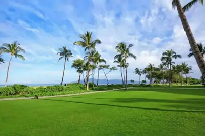 Image de Westin Ka'anapali Luxury 1 Br Villa w Full Kitchen