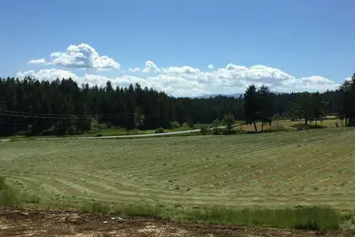 Image de Lacey Meadows Acreage
