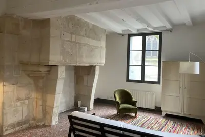 Image de Blanqui-Loft Grand Appartement 1 pièce quartier Calme à Tours
