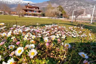 Image de Cozy apartment in villa in the green heart of Abruzzo