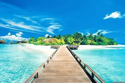 Image de Tampa East! Sunshine, Beach, Fun! 11