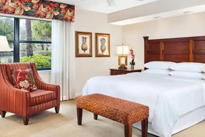 Image de Disneyworld affordable luxury! Sheraton Vistana Resort.