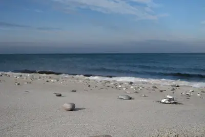 Image de 2 terraces: facing the sea and facing south to the sun