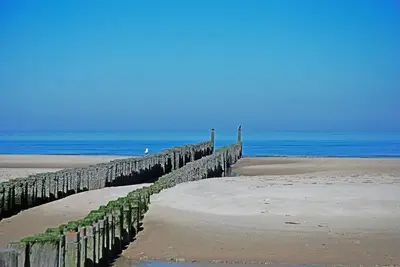Image de TopLocatieZeeland # Beach Barn