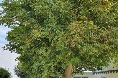 Image de House Hagelstein Iv \"Feuerstein\" - House Hagelstein - Holiday apartment \"Iv