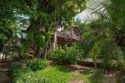 Luxurious Tropical House near Beaches & Downtown