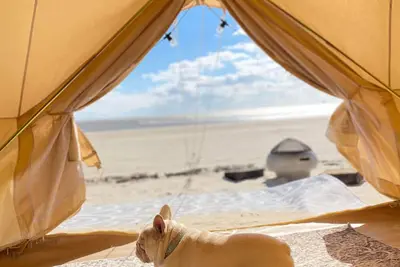 Image de Yurt on the Beach