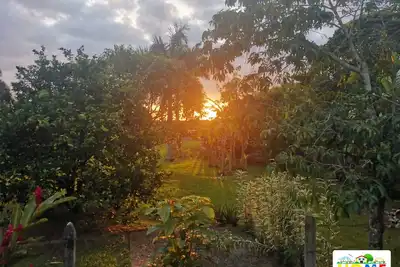 Image de Glamping in a exotic location