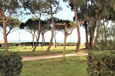 Image de Studio Argelès-sur-Mer, 1 pièce, 4 personnes